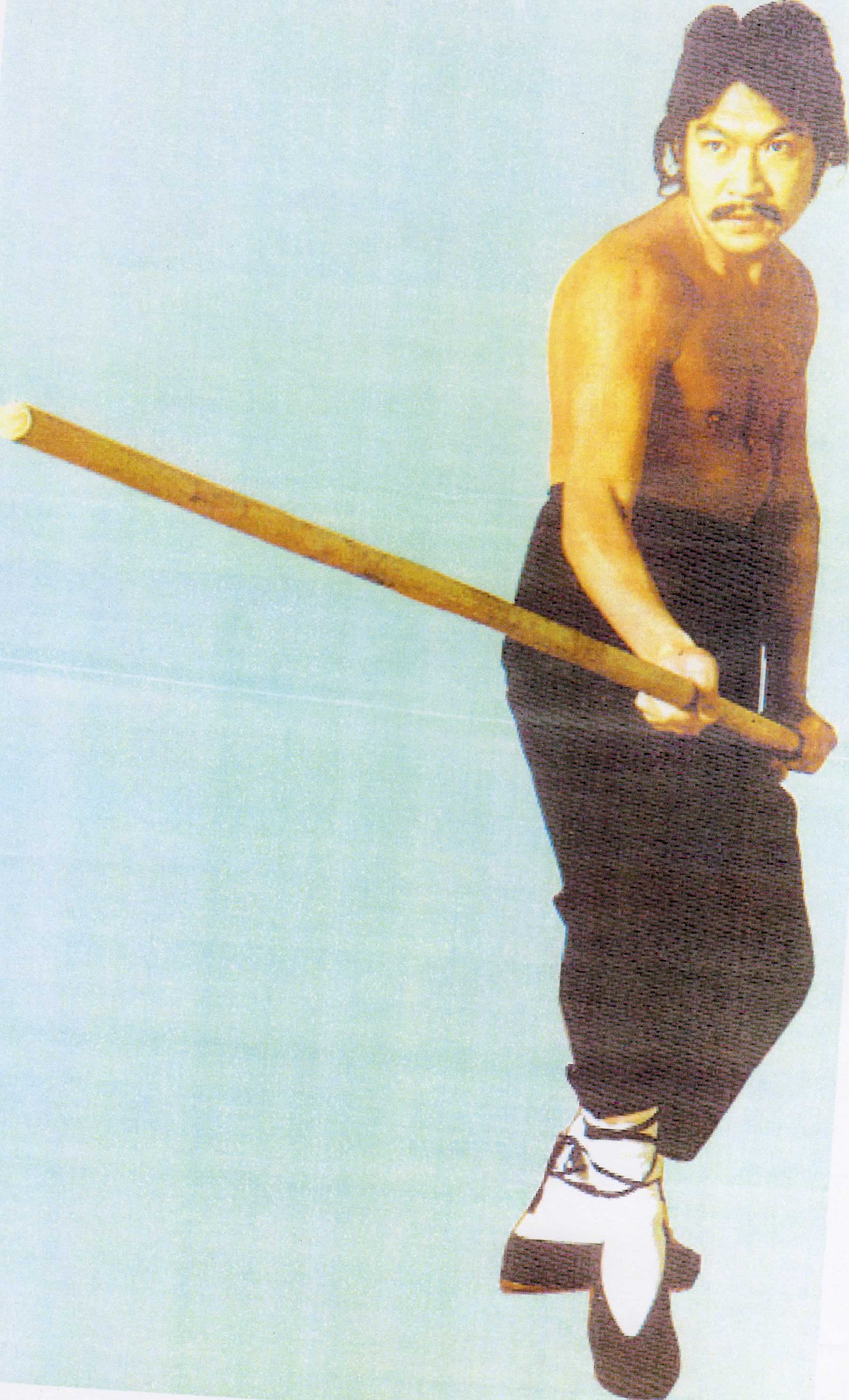 Ving Tsun pole